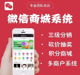 怎么开发微信多用户商城系统