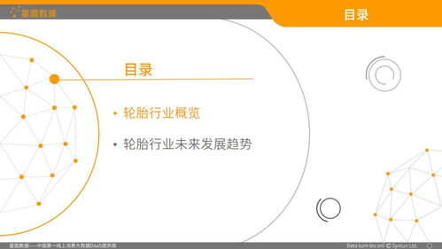 中国轮胎b2c电商市场分析报告