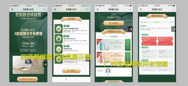 经典案例护肤品行业安茹商城